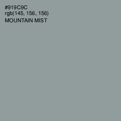 #919C9C - Mountain Mist Color Image